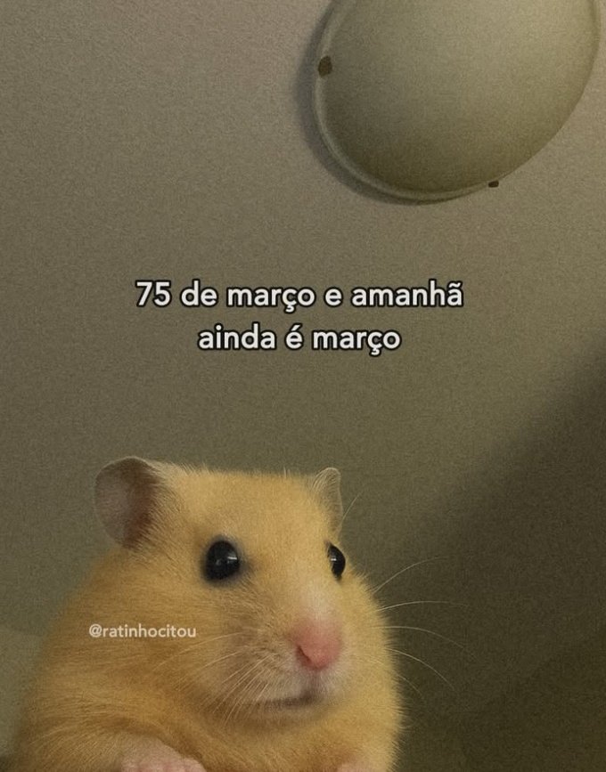 teu caos tweet media