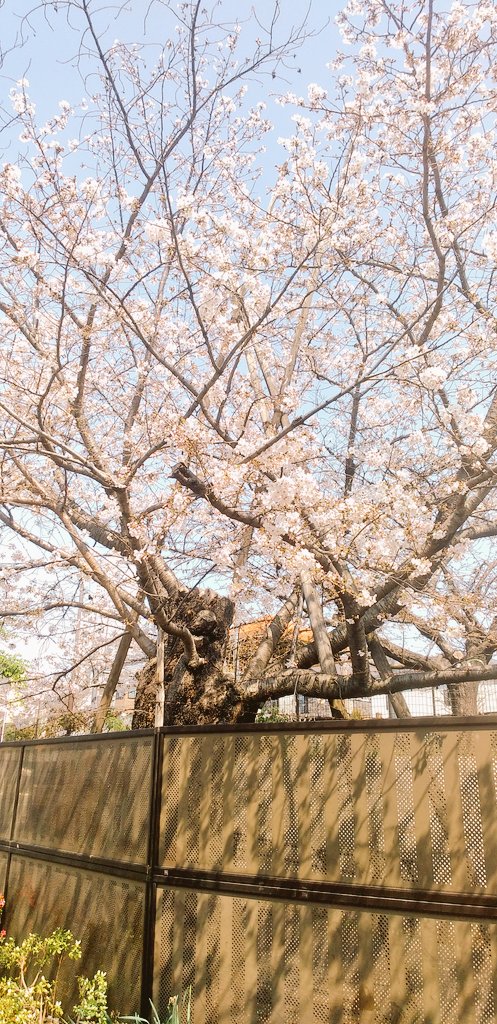 先生こと 瀬田 @こみトレ47 J08a tweet media