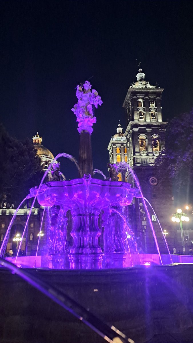 David Sánchez Yanes tweet media