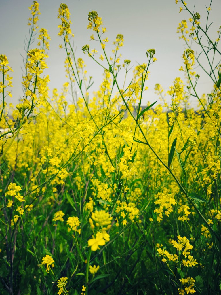 生野 公貴(Koki Ikuno) tweet media