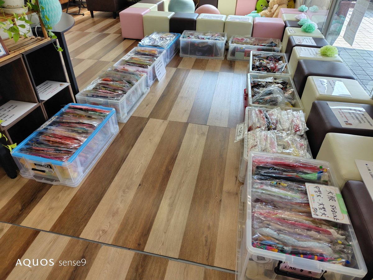 ちばわん(犬猫保護) tweet media