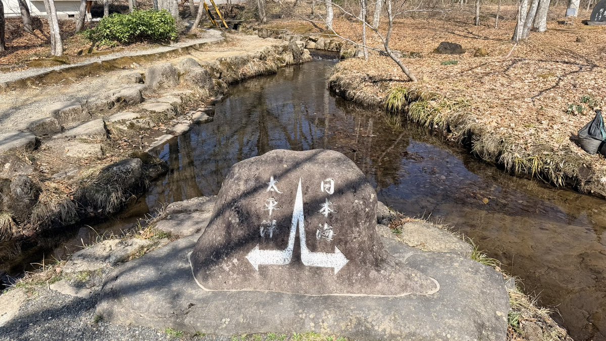 Toshio Murouchi (インドア) tweet media