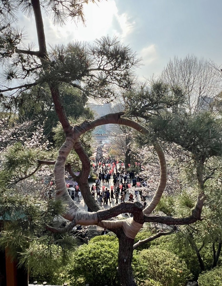 japantotheworld.com tweet media