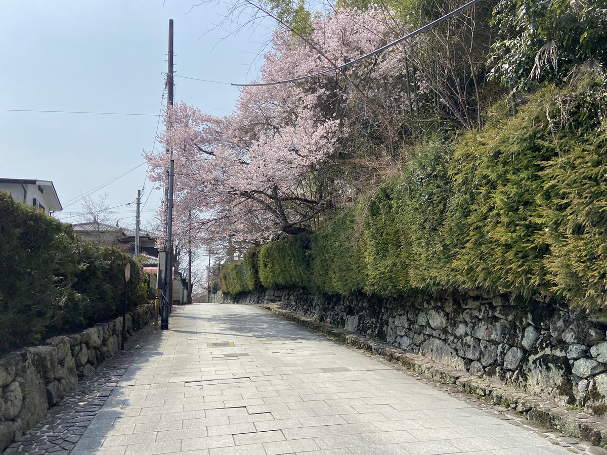 のこのこ屋 tweet media