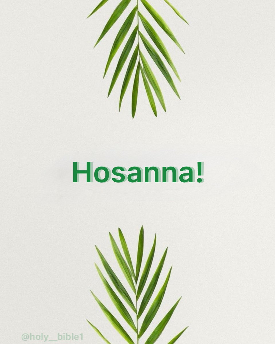 UcheMaryOkoli's tweet image. Ladies and gentlemen of the jury, we begin the Holy Week in the name of the Father, son, and Holy Spirit! Amen ✝️!!!!

Hosanna Hosanna to the son of David!!!!!!!
It is PALM SUNDAY BABY!!!!!
