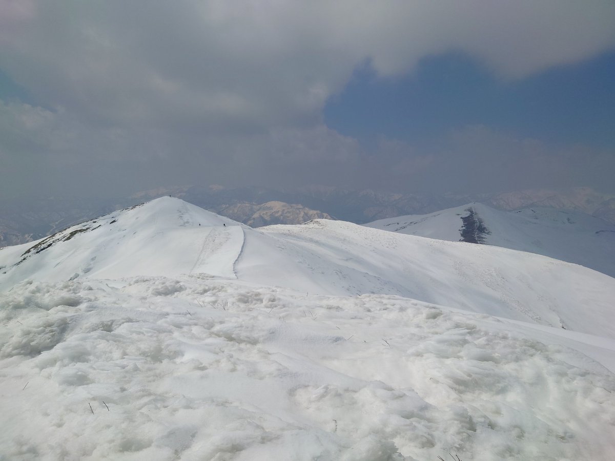 @山おとこ tweet media