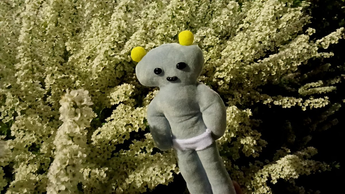 涼野くらげ🌹🍥ଳ✨ tweet media