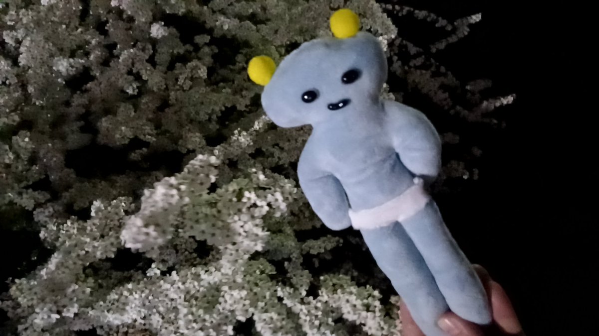 涼野くらげ🌹🍥ଳ✨ tweet media