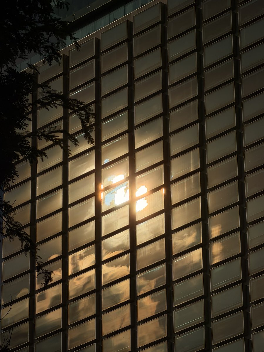 jmspht's tweet image. แดดตอนเช้าที่สวนลุม สวยจัง
❤️
#shotoniphone