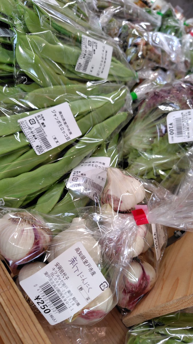 【高知県室戸市】道の駅キラメッセ室戸 tweet media