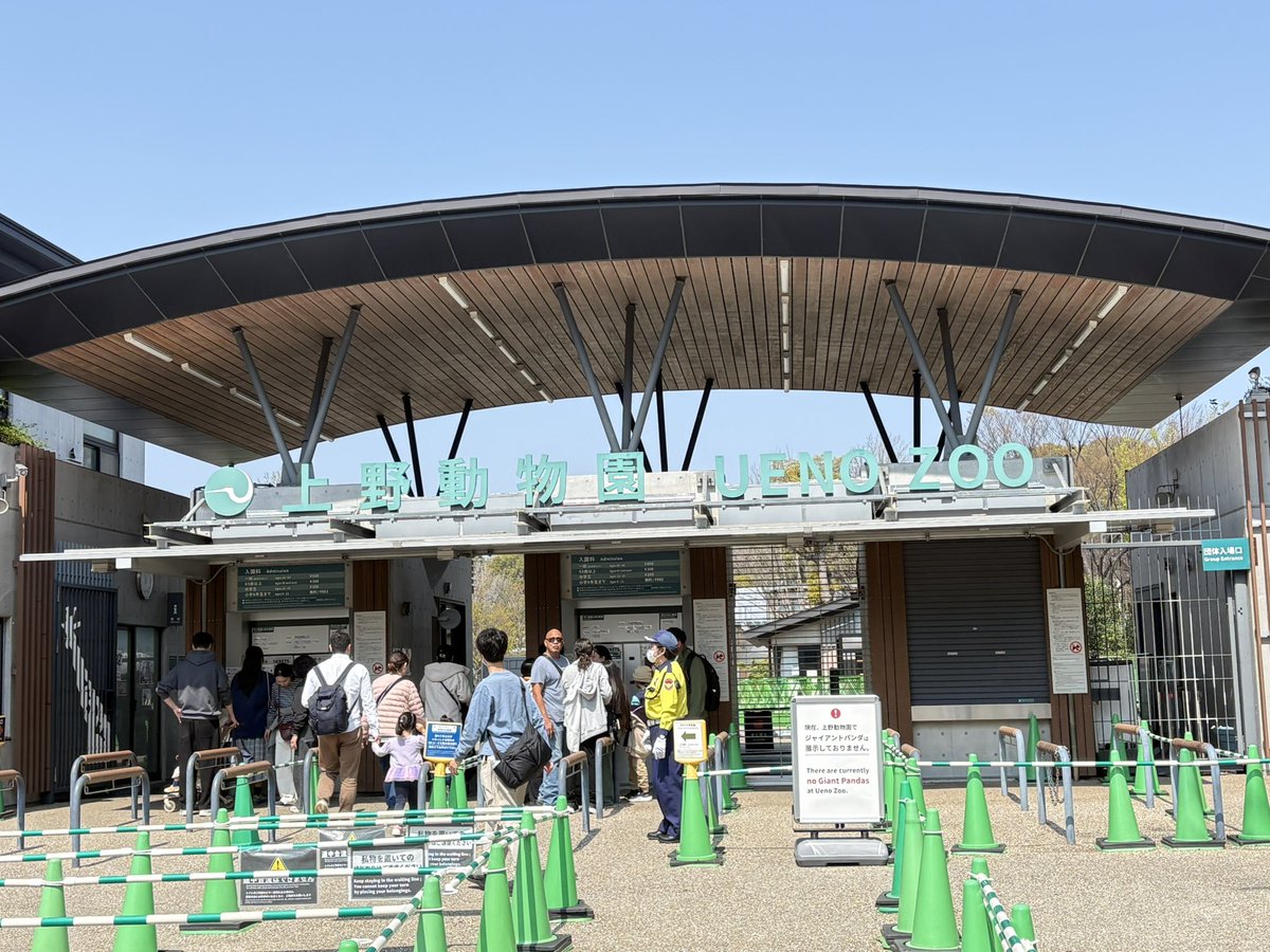 gechu7's tweet image. 今日は聖地、上野動物園へ
シャンシャンと出会えた場所だから聖地

お猿さん大混雑だったよ
チップあげて写真撮らせてもらった
#monkey