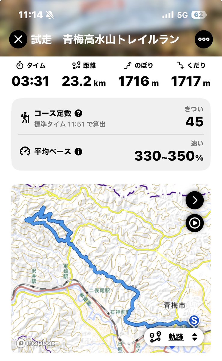 うさぎのようなもの tweet media