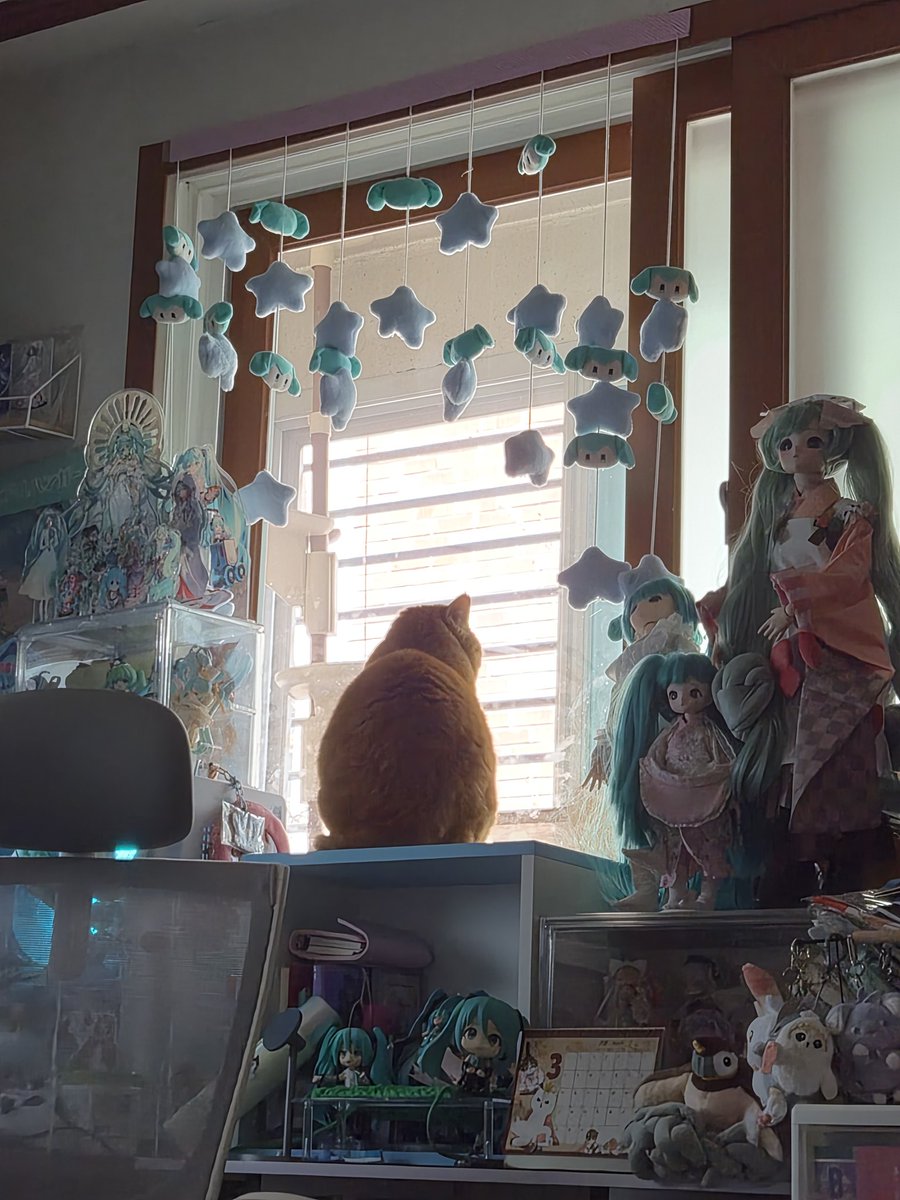 사랑해 뽀뽀또또 tweet media