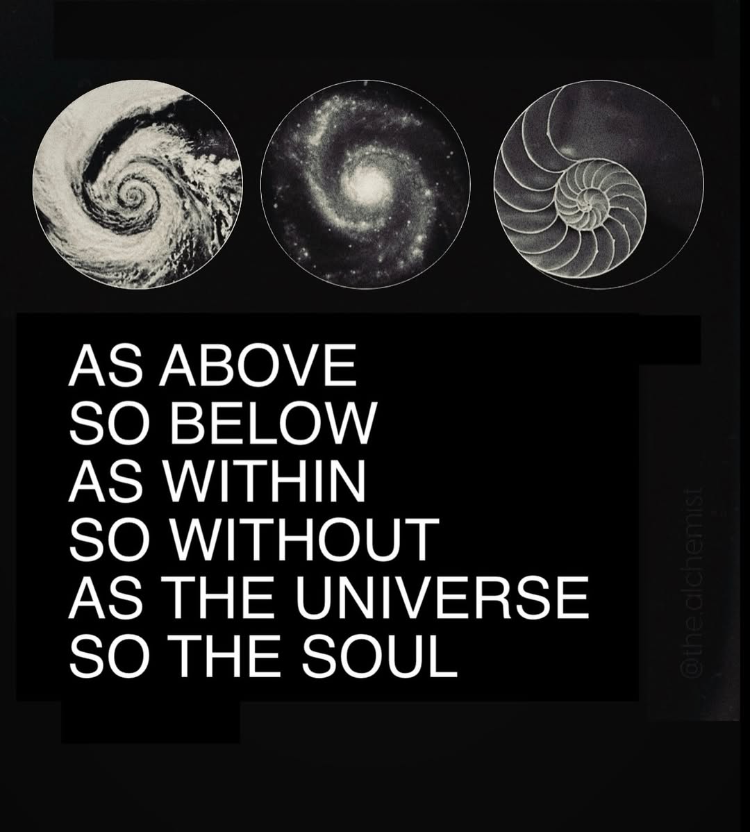 Mini Archillect tweet media