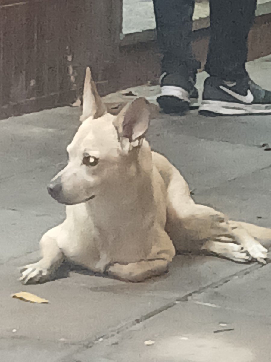 Marginales Store tweet media