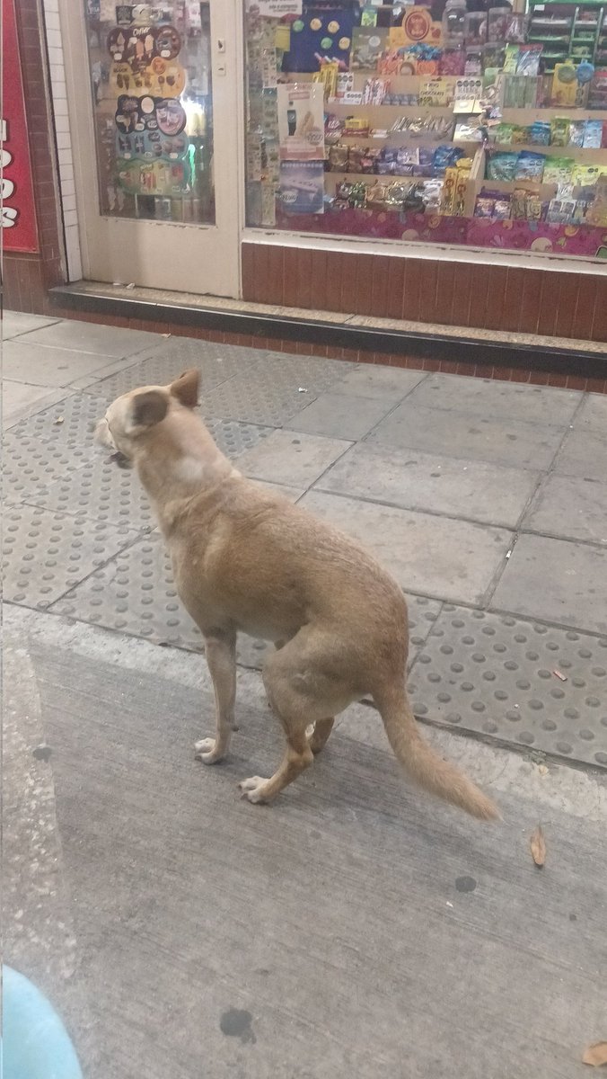 Marginales Store tweet media