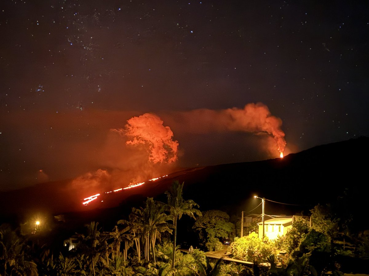 𝗶𝗮𝗺𝟰𝘅 ~ try tuleep.trade 🌷 tweet media