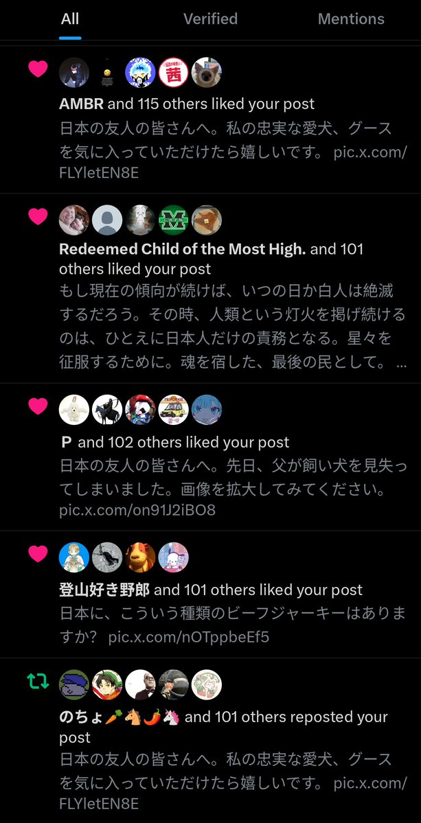 Reasonable Man 🇺🇸 tweet media