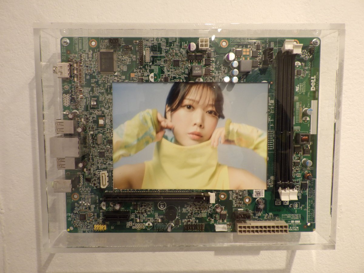 Design Festa tweet media