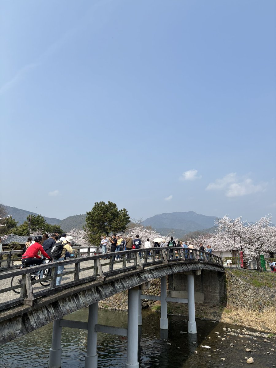 すがにーる 1200/5000、3/12 tweet media