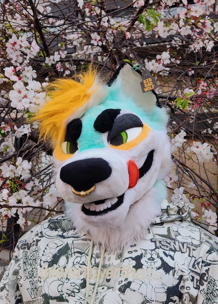 CAPS LOCK CANINE @ LVFC 🌹⛓️🌈 tweet media