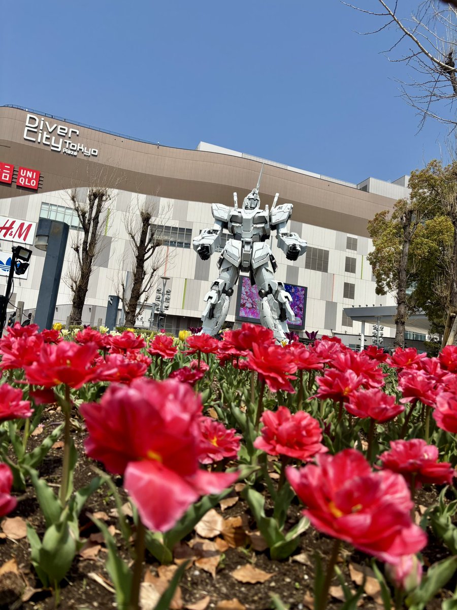 よしーだ tweet media