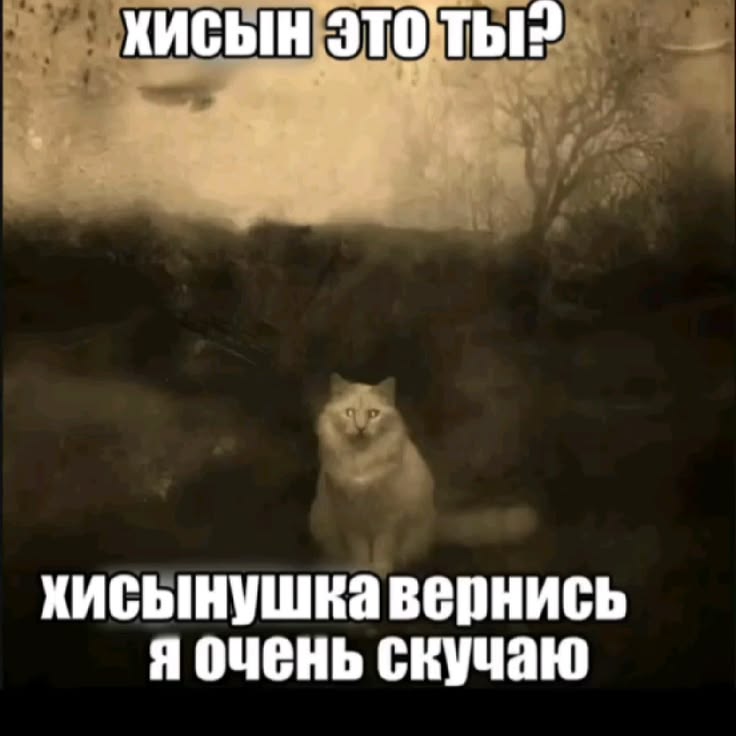 𝓝𝓾𝓽𝓼𝓼𝓼💫 tweet media