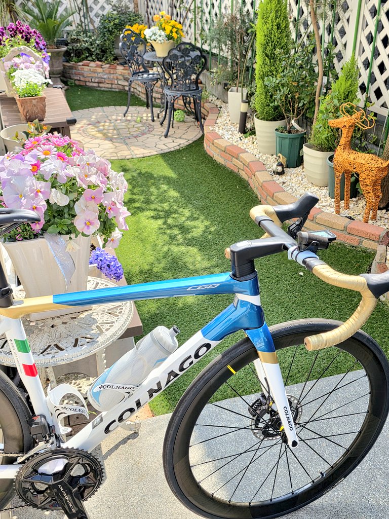 りっきー🍊🗾🌕 tweet media