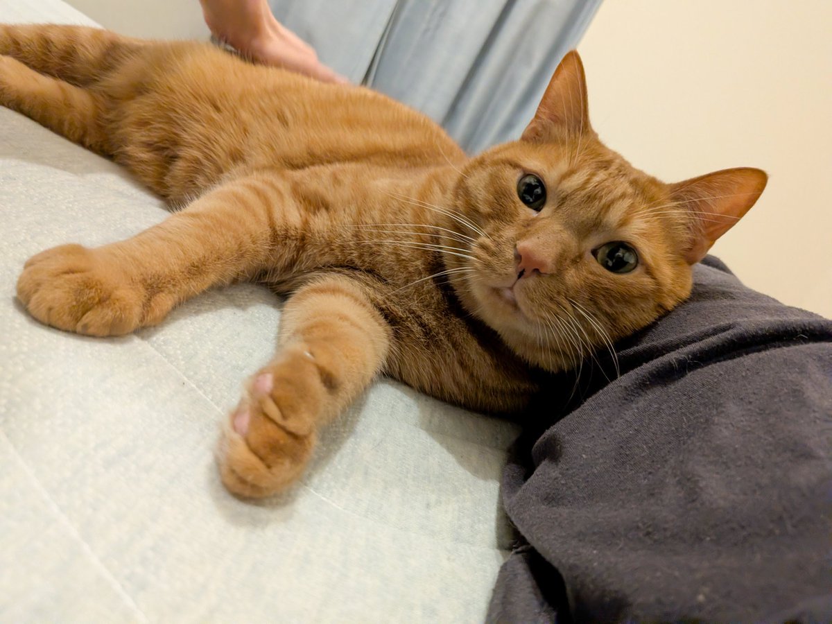 松丸 亮吾 🍥 tweet media