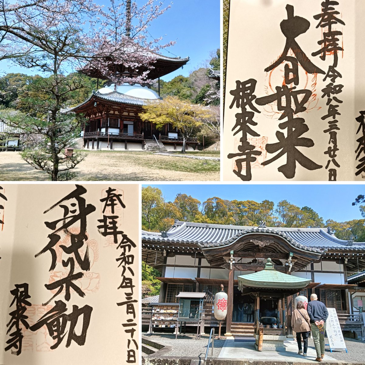 MOKOMOKO0210 tweet media