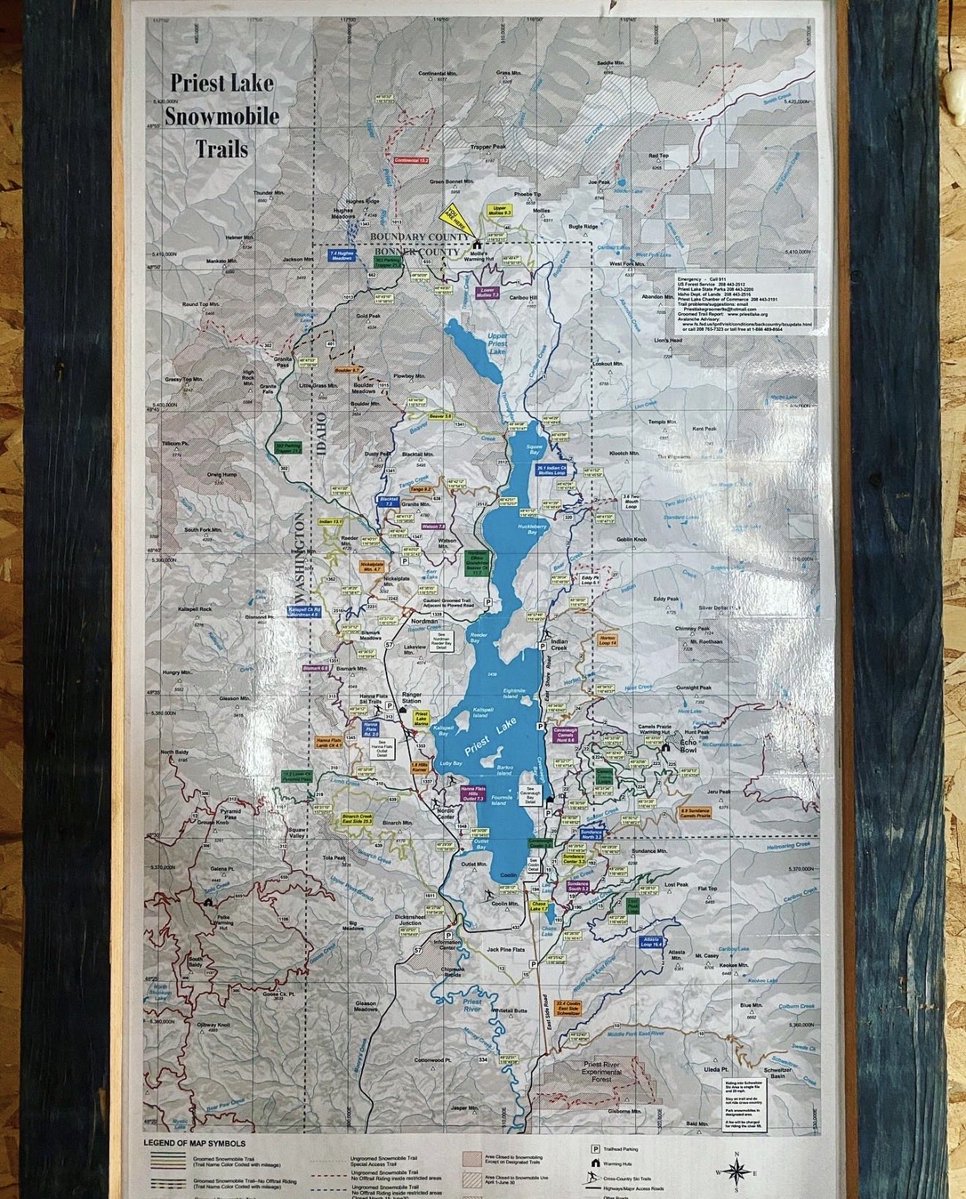 Mohammed tweet media