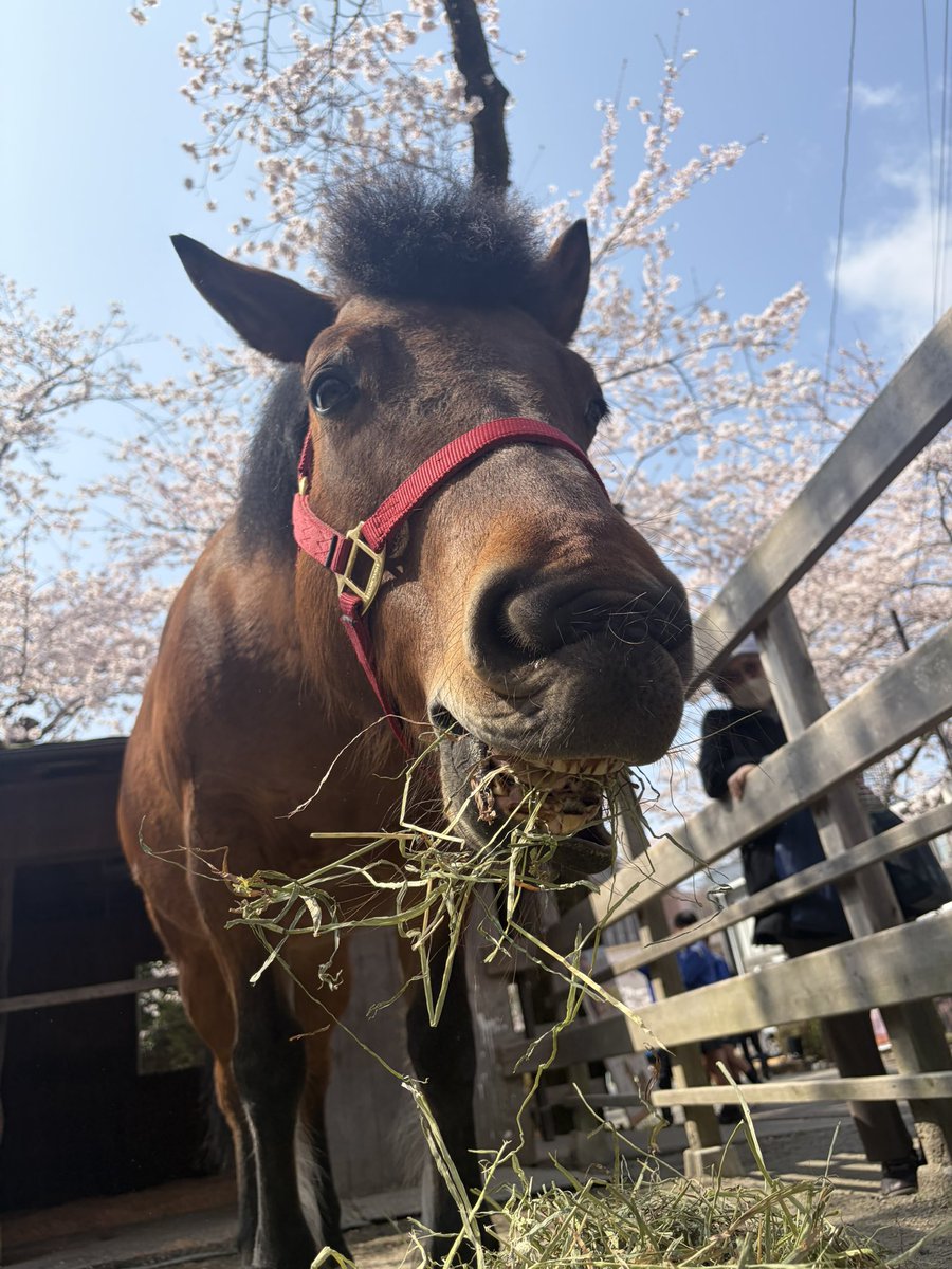 にゅるん tweet media