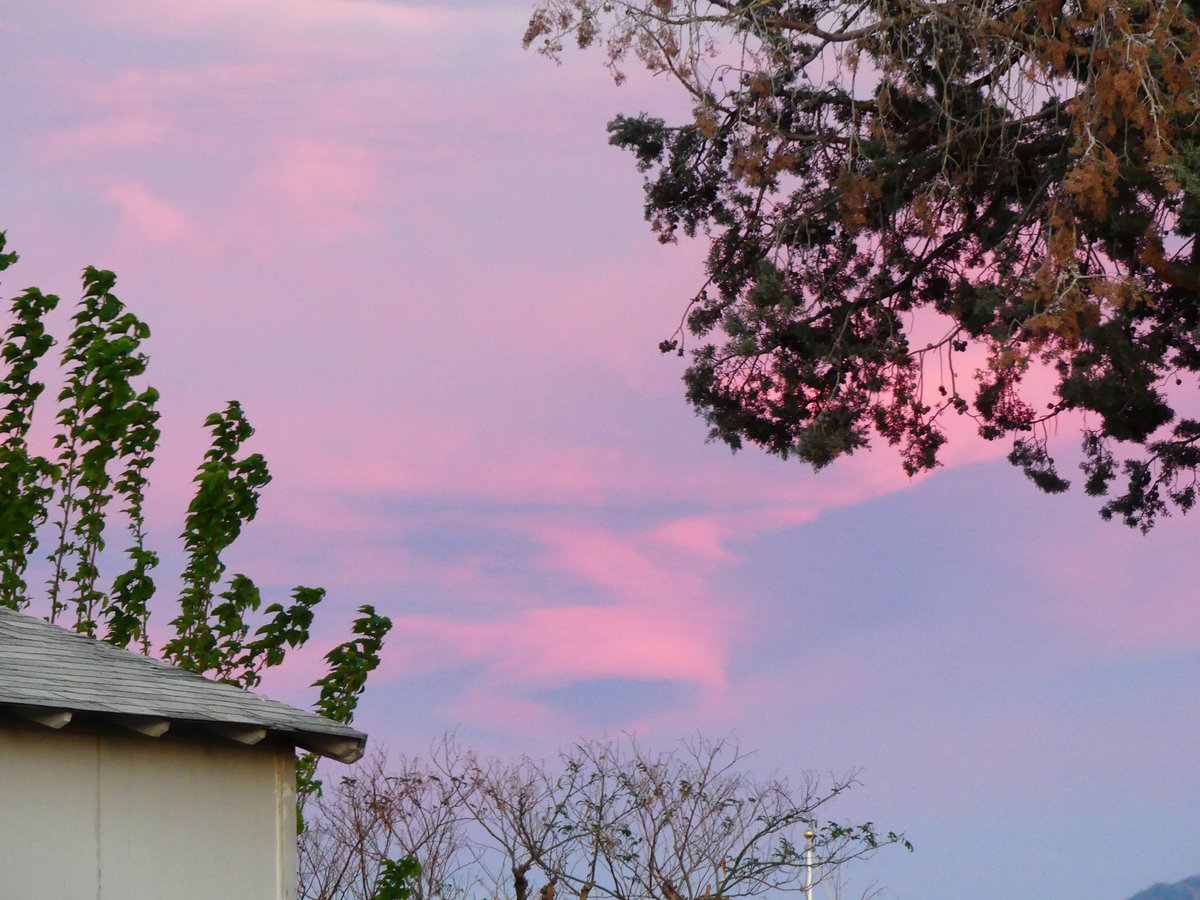 High Desert Sunset Scenes. 3.28.26.