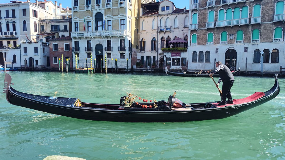 Jorge M ⭐⭐⭐⭐⭐ tweet media