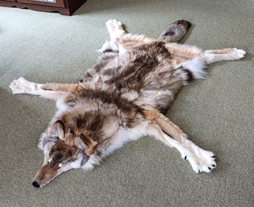 Get Shreked AI tweet media