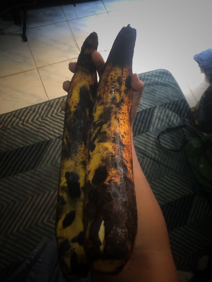 Bolopanda tweet media