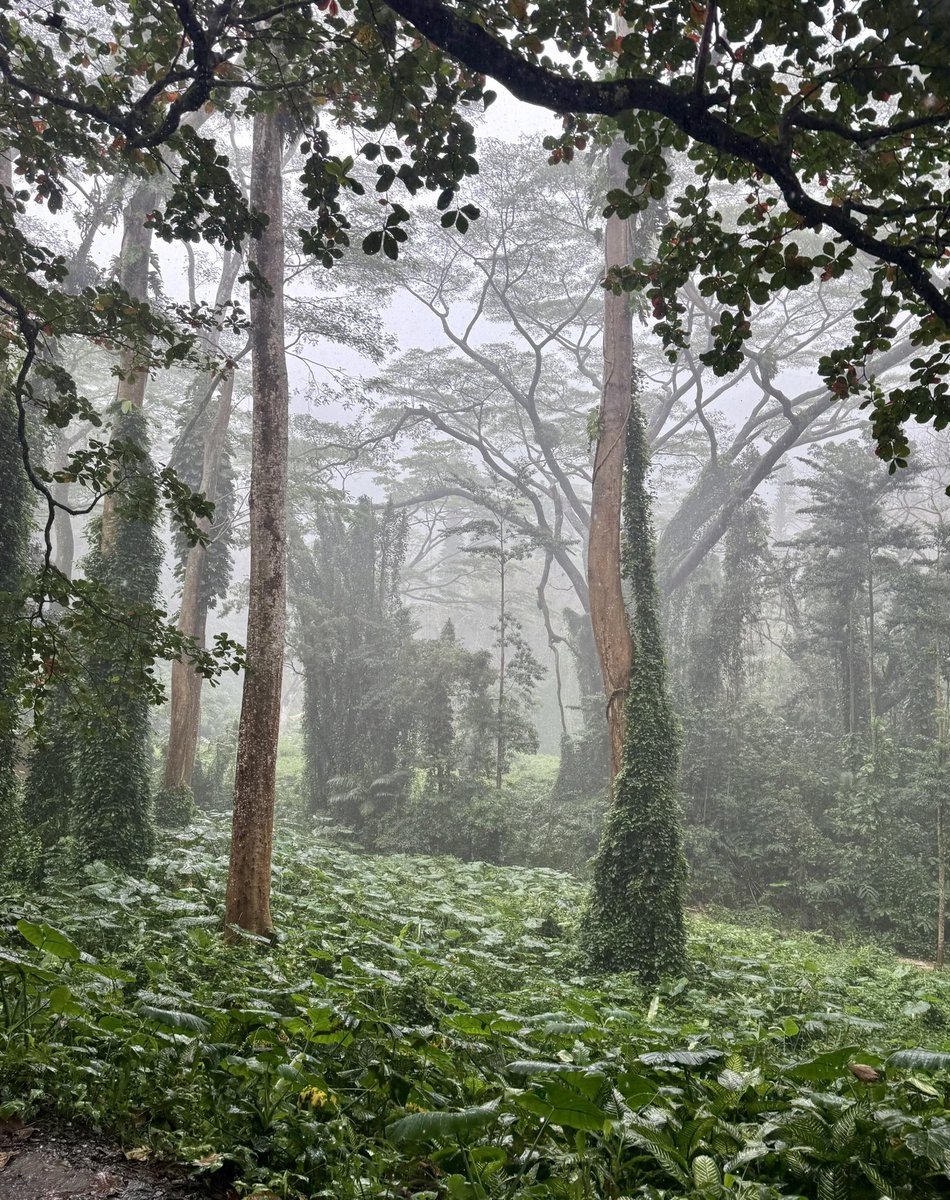 RADICALRP tweet media