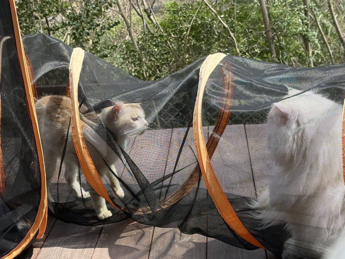 Macha_Zo tweet media