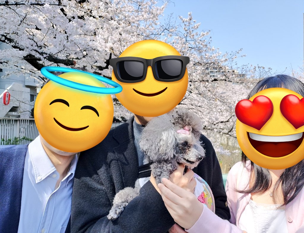 てじお tweet media