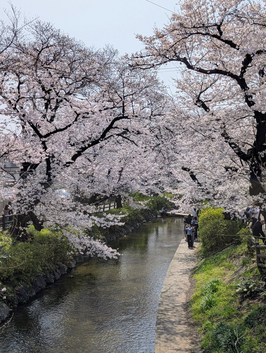 カナパン tweet media