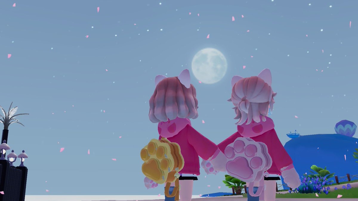 めー🐑 tweet media