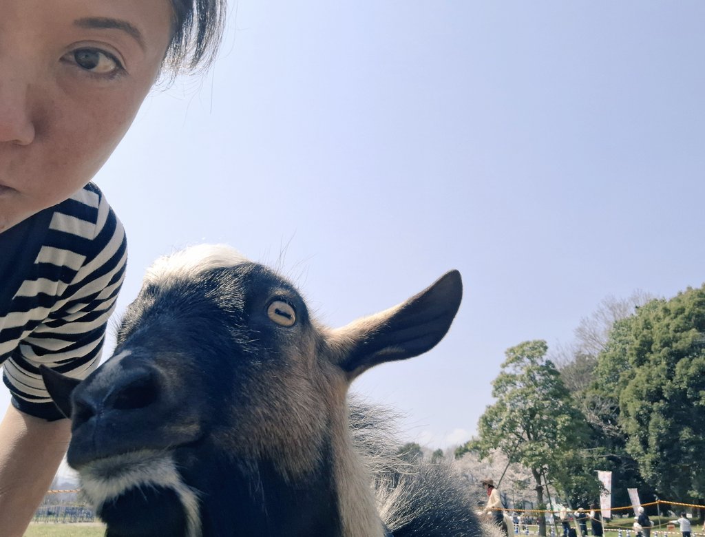 山崎叶巴美@チャッピー tweet media