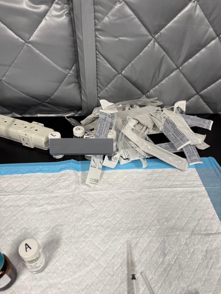 sofi 🐇 tweet media