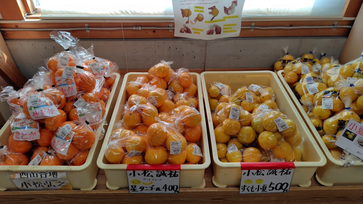 【高知県室戸市】道の駅キラメッセ室戸 tweet media