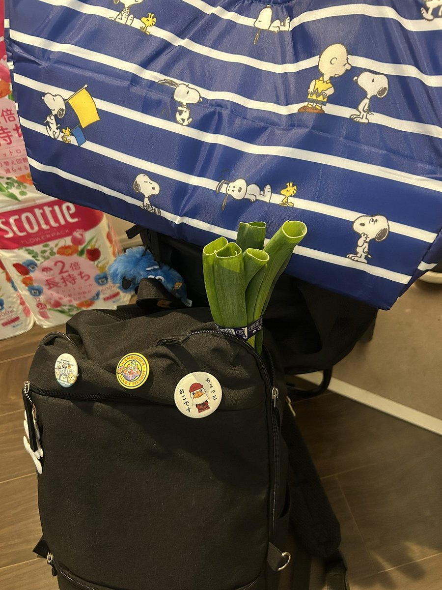 マリィちゃん🦖羽スン໒꒱ tweet media