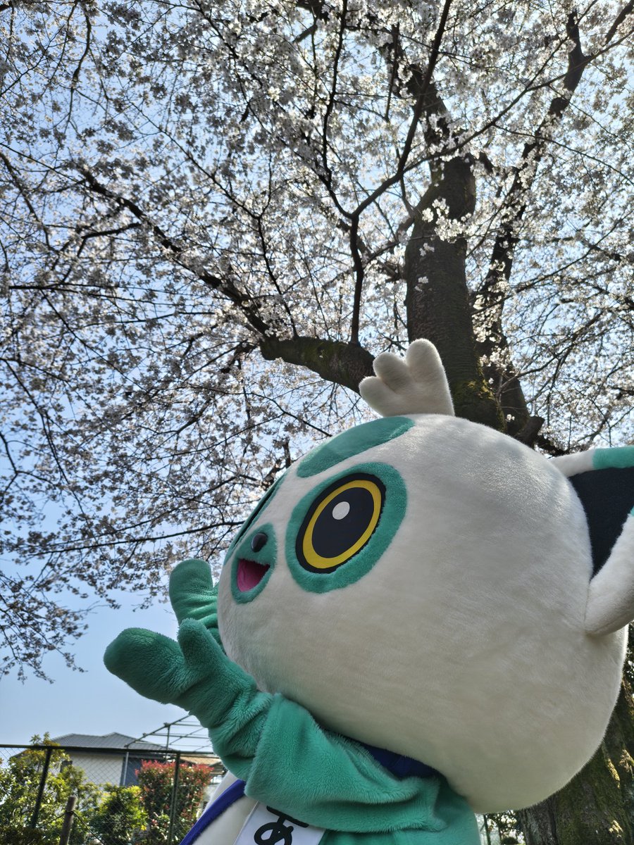 上尾市観光協会 tweet media