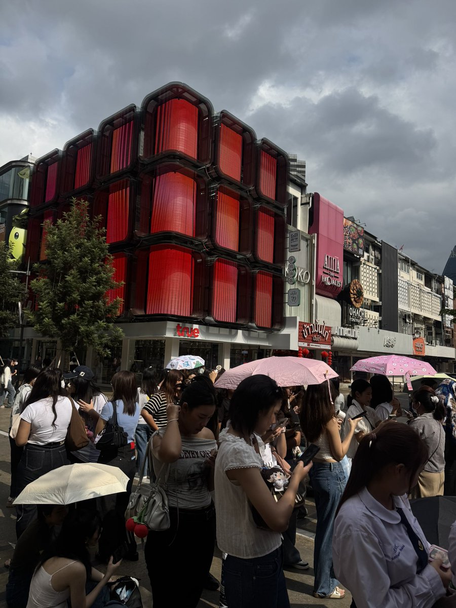 ☆ ·°🌙MPThee🐼🐻 ·° ☆ tweet media