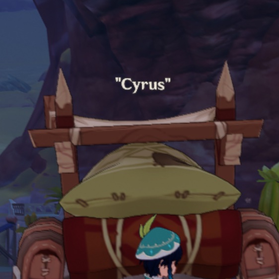 puff 🦈 tweet media