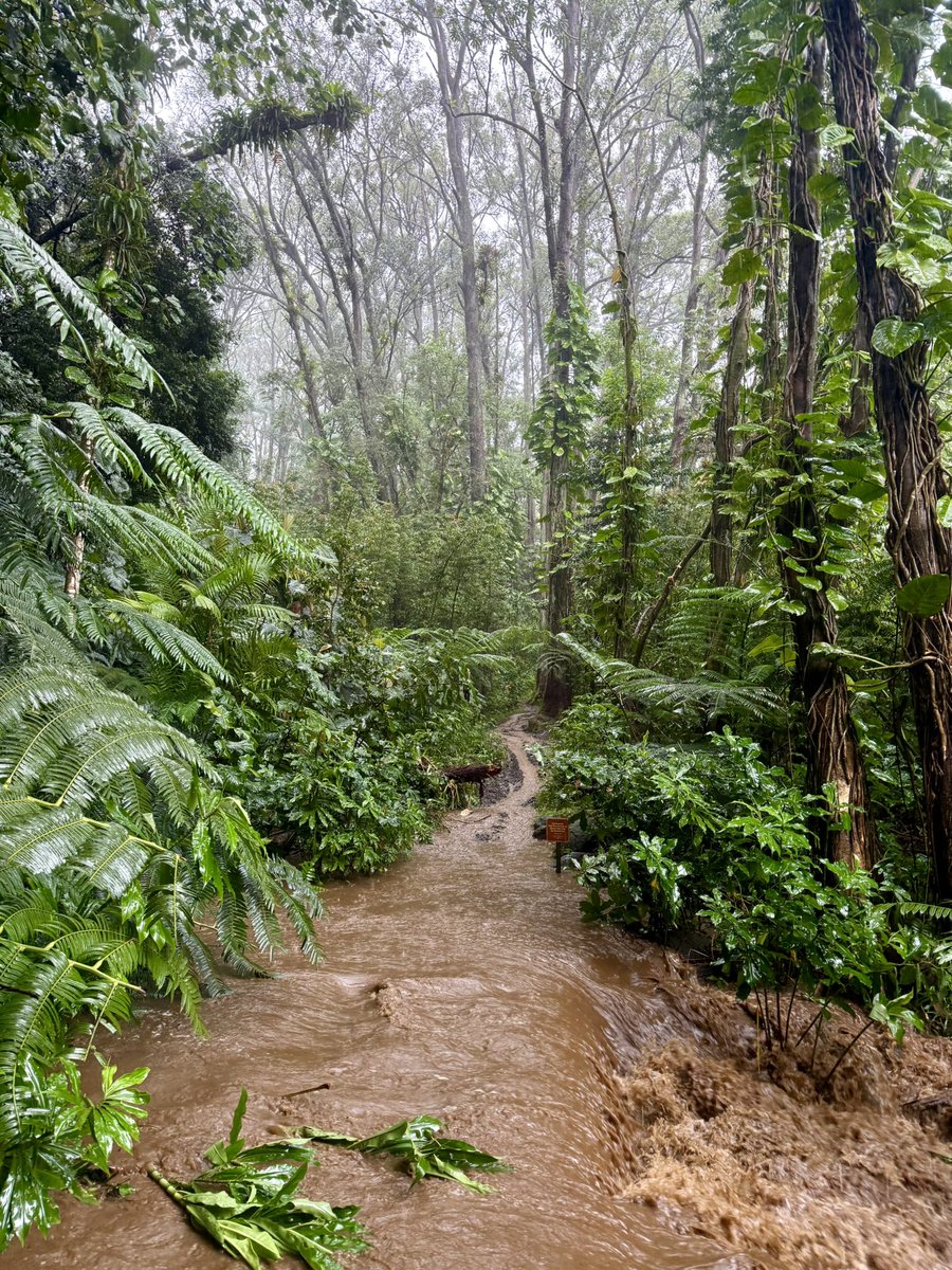 RADICALRP tweet media