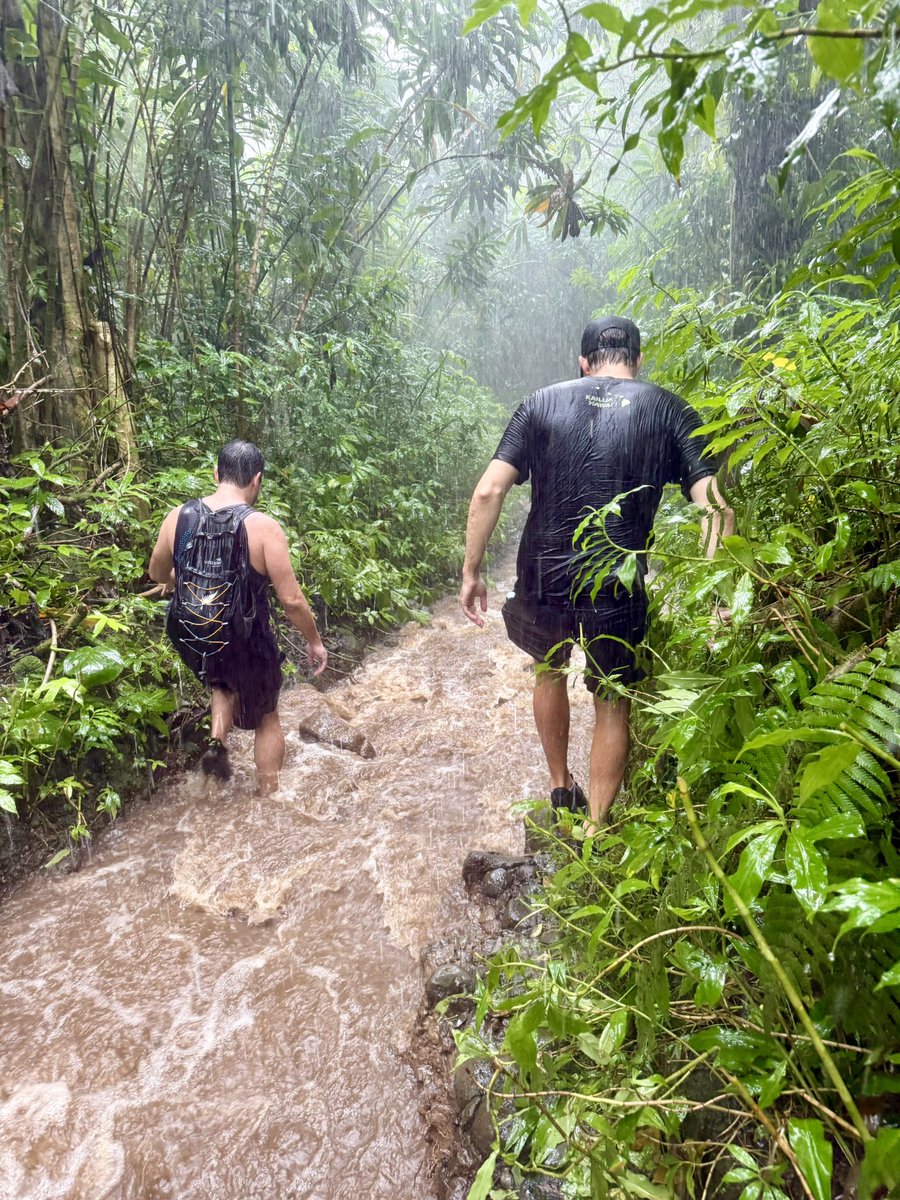 RADICALRP tweet media